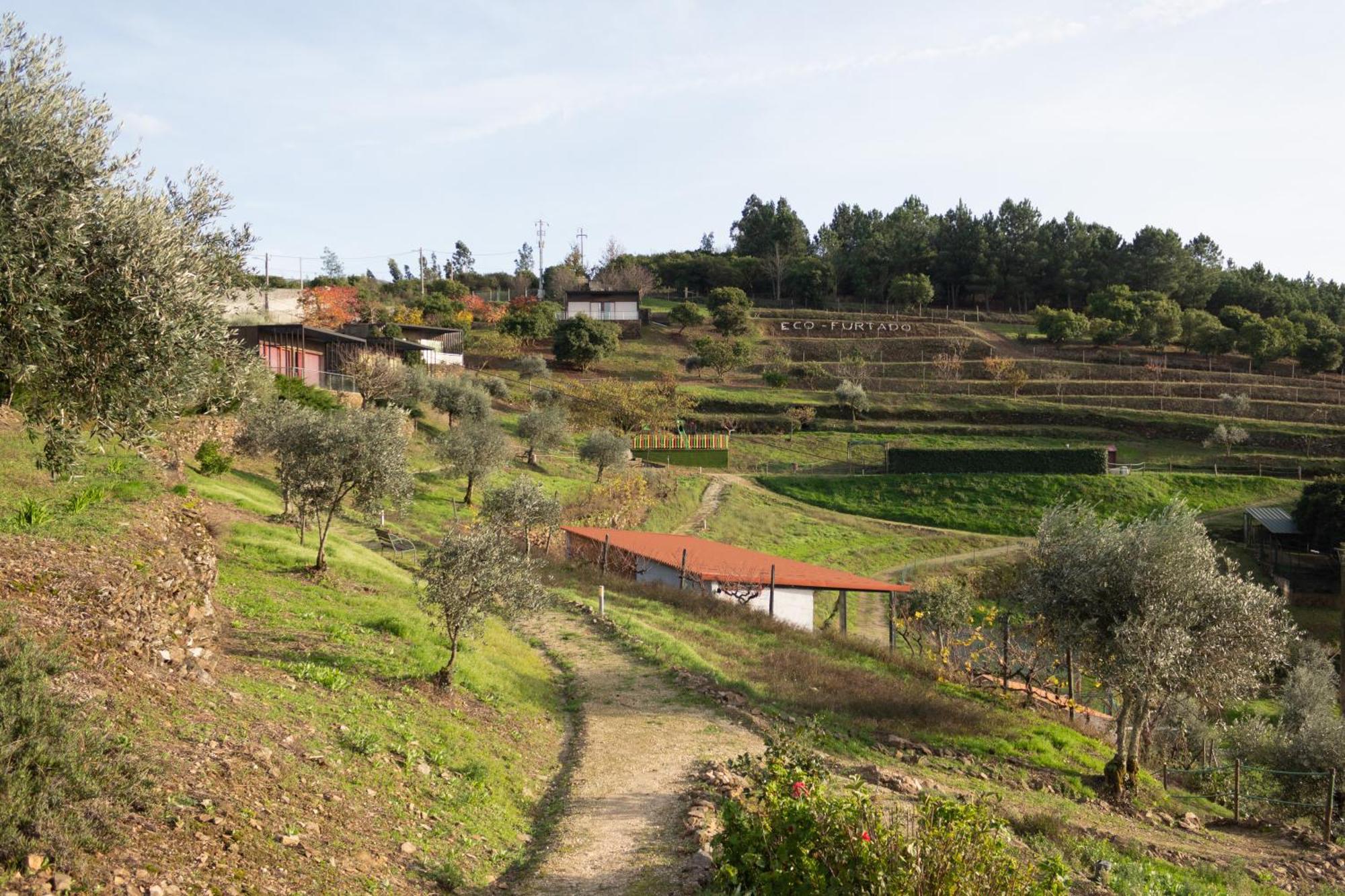 فيلا Ecofurtado المظهر الخارجي الصورة
